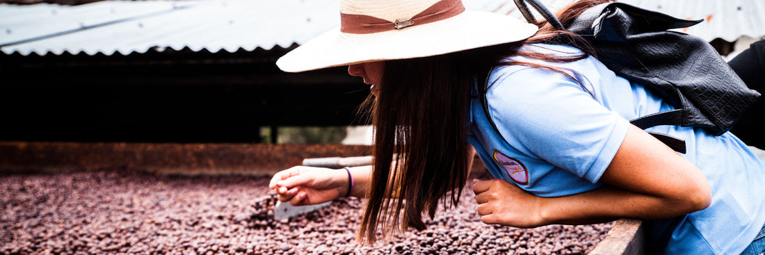 Kaffeewissen Rohkaffee: Selber rösten unter Berücksichtigung von Dichte und Feuchtigkeit