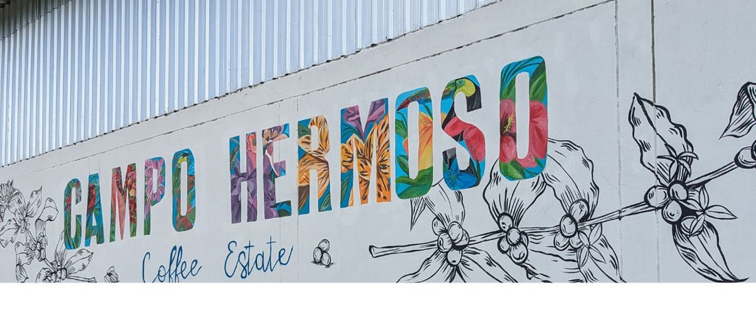 Edwin Noreña - Farm Campo Hermoso - der "Kaffee-Alchimist"