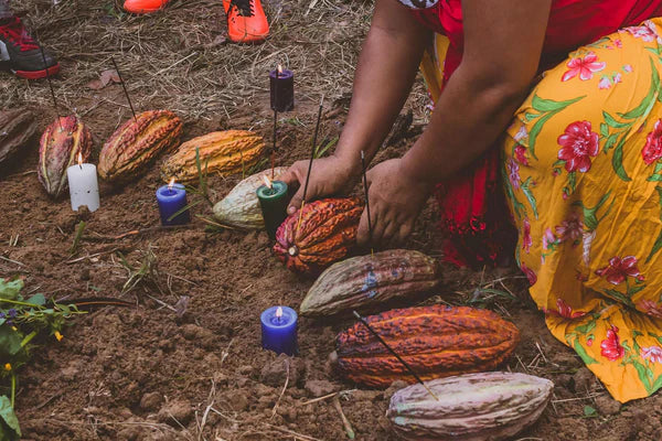 Vom heiligen Kakao zum Industrie-Schokoriegel: Zurück zu den Ursprüngen