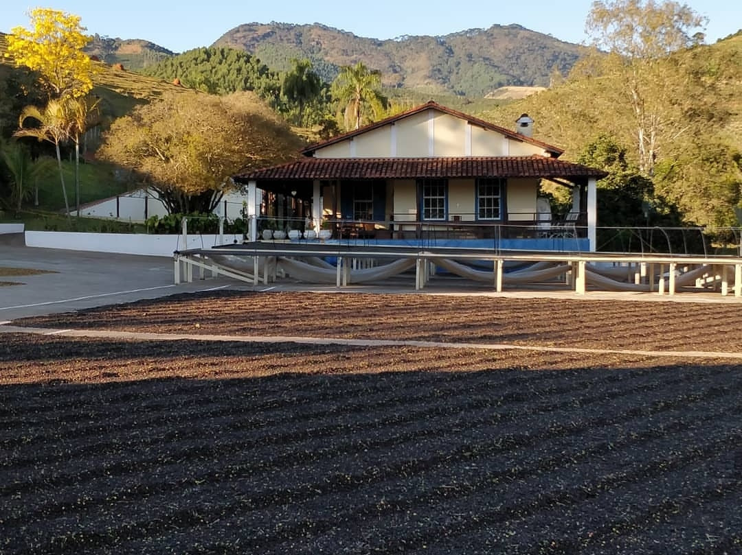 Rohkaffee - Brasilien - CQT - COCARIVE - Mantiqueira Azul - Natural