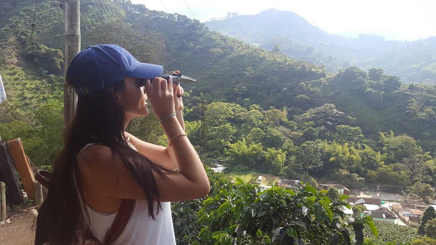 Green Coffee - Colombia - Insula Castillo - Washed