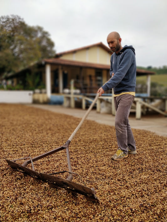 Rohkaffee - Brasilien - CQT - COCARIVE - Mantiqueira Laranja - Pulped Natural