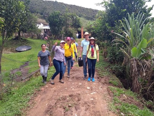 Rohkaffee - Kolumbien - Women Association (El Trebol) Santander
