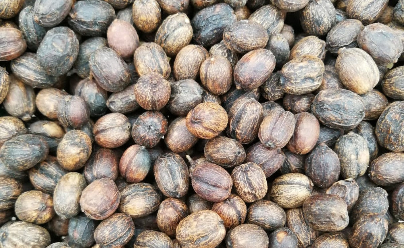 Rohkaffee - Kolumbien - La Veranera Caturra - Natural Anaerob