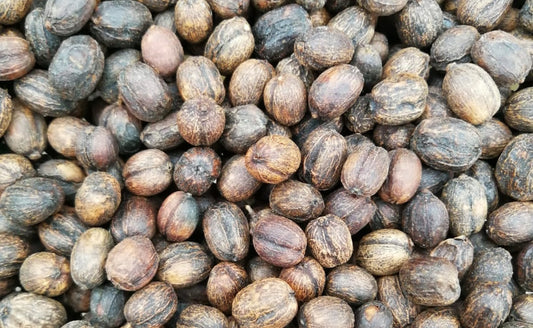 Rohkaffee - Kolumbien - La Veranera  Caturra (natural anaerob)