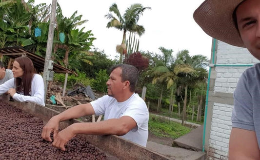Rohkaffee - Kolumbien - La Cristalina - Castillo - N-36h