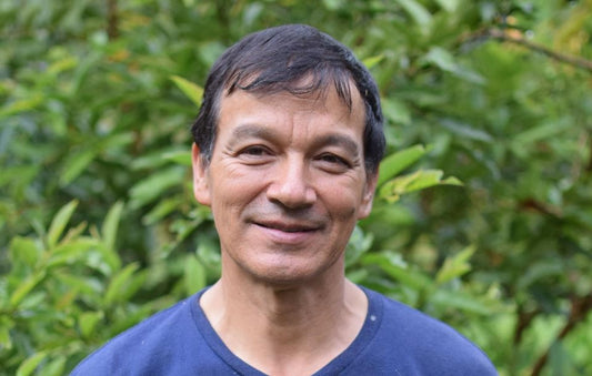 Rohkaffee - Kolumbien - Finca Florestales - Caturra Amarillo - Gewaschen