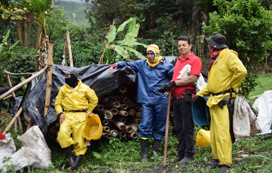 Rohkaffee - Kolumbien - Monteverde - Caturra - hot fermentation (Semi-DECAF)
