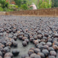 Rohkaffee - Kolumbien - Las Alegrias - Castillo - Osmotic Dehydration Blackberry - natural