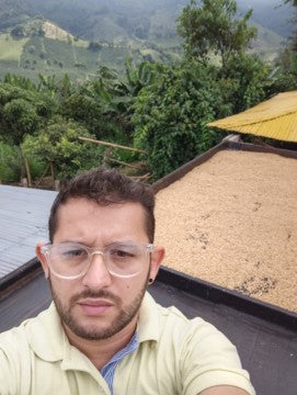 Green coffee - Colombia - Las Sirena - Castillo - Osmotic Dehydration Sensation - Honey - Co-fermentation