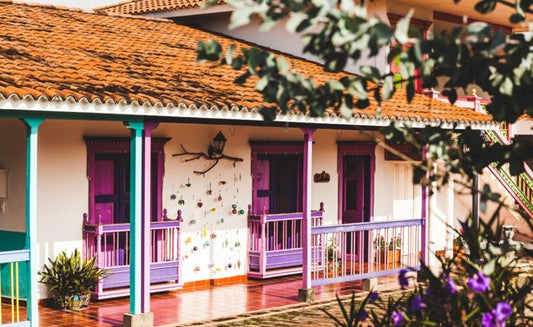 Rohkaffee - Kolumbien - Finca Belen CS - Pink Bourbon - Natural