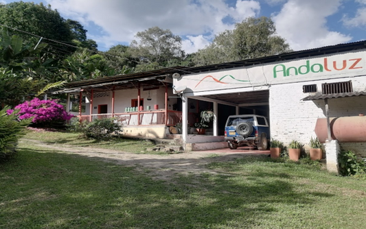 Rohkaffee - Kolumbien - Andaluz - Wush Wush - Gewaschen 48h