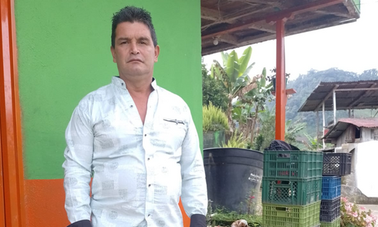 Rohkaffee - Kolumbien - Palermo - Geisha - Gewaschen