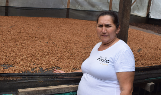 Rohkaffee - Kolumbien - El Triunfo - Pink Bourbon - Gewaschen