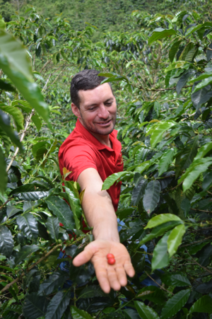 Rohkaffee - Kolumbien - La Esperanza (Huila) - Pink Bourbon - Honey