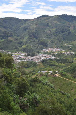 Rohkaffee - Kolumbien - La Esperanza (Huila) - Pink Bourbon - Honey