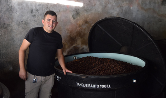 Rohkaffee - Kolumbien - Las Flores - Red Bourbon - Natural