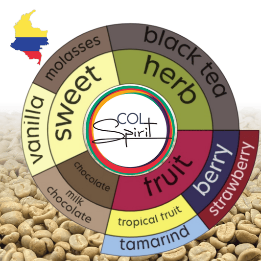Rohkaffee - Kolumbien - El Capitolio - Castillo - Natural - Erdbeer Cocktail - Co-Fermentation
