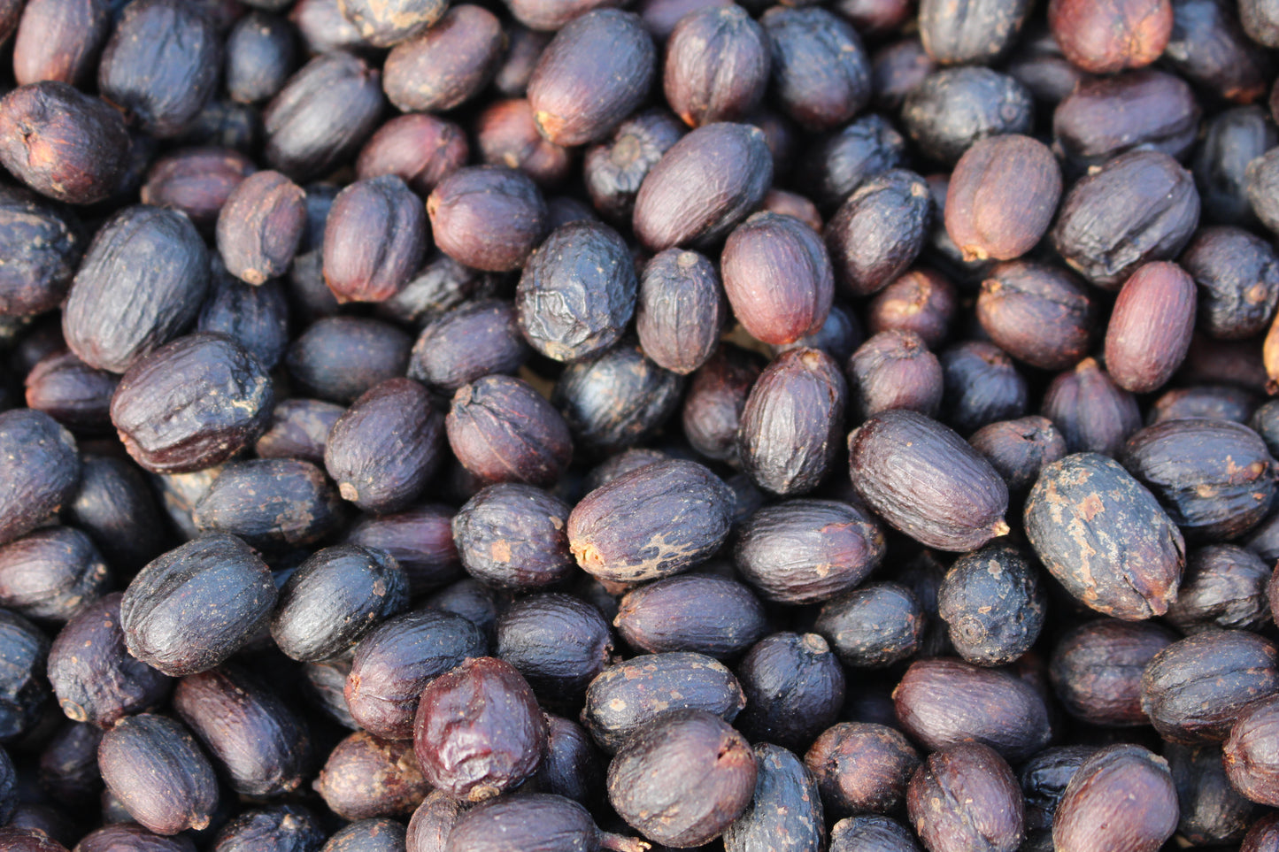 Rohkaffee - Kolumbien - La Estrella Geisha - COL-SPIRIT Processing Facility - Natural