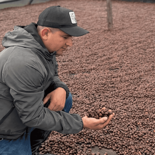 Tasting package - Colombia - La Esmeralda - Papayo - Natural