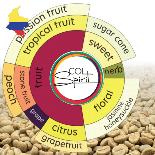 Rohkaffee - Kolumbien - Buenos Aires - Gesha - Gewaschen