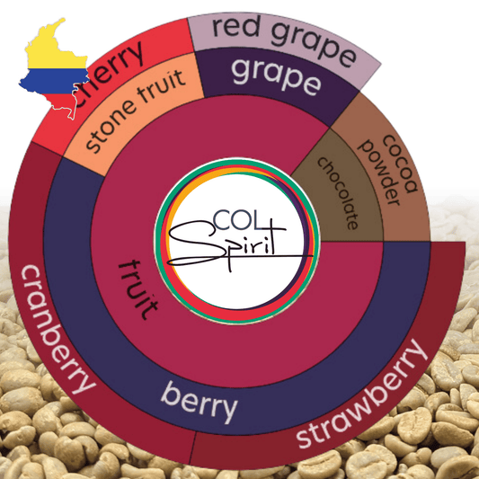 Rohkaffee - Kolumbien - Campo Hermoso - Caturra - Red Fruits - Black Honey - Carbonic Maceration - Co-Fermentierung