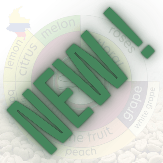 Rohkaffee - Kolumbien - El Capitolio - Castillo - Natural - Erdbeer Cocktail - Co-Fermentation