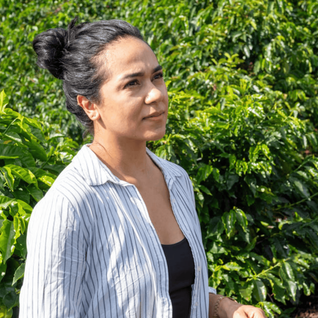 Probepackung - Kolumbien - El Silencio - Sara Gutierrez - Yellow Colombia - Natural Carbonic Maceration 168h