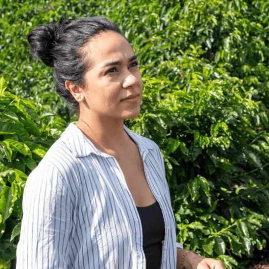 Rohkaffee - Kolumbien - El Silencio - Caturra - Natural Jamaica