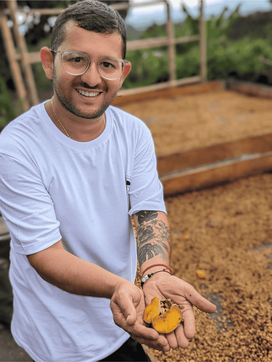 Probepackung - Las Sirena - Castillo - Osmotic Dehydration Sensation - Honey - Co-Fermentation