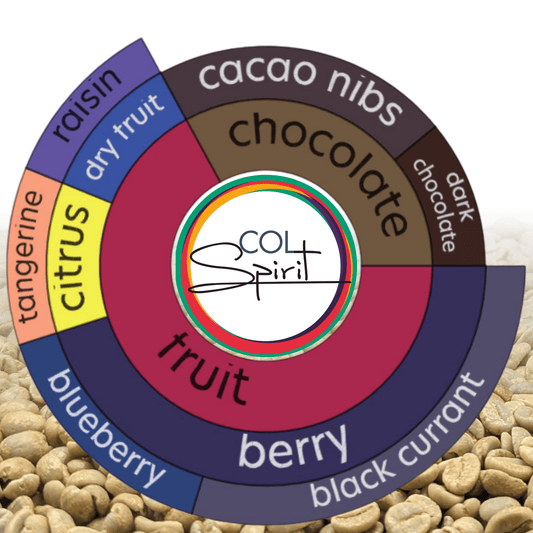 Rohkaffee - Kolumbien - El Diamante - Pink Bourbon - Scoby Kombucha - Natural "SKF"