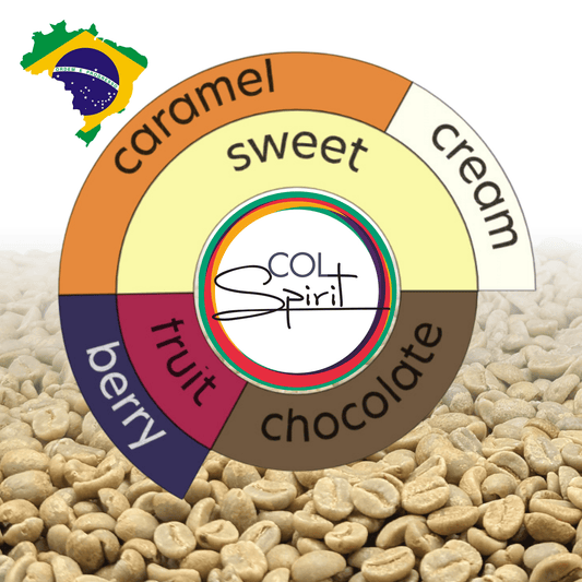 Rohkaffee - Brasilien - CQT - COCARIVE - Mantiqueira Azul - Natural