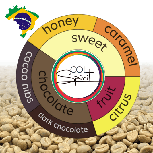 Rohkaffee - Brasilien - CQT - COCARIVE - Mantiqueira Azul - Pulped Natural