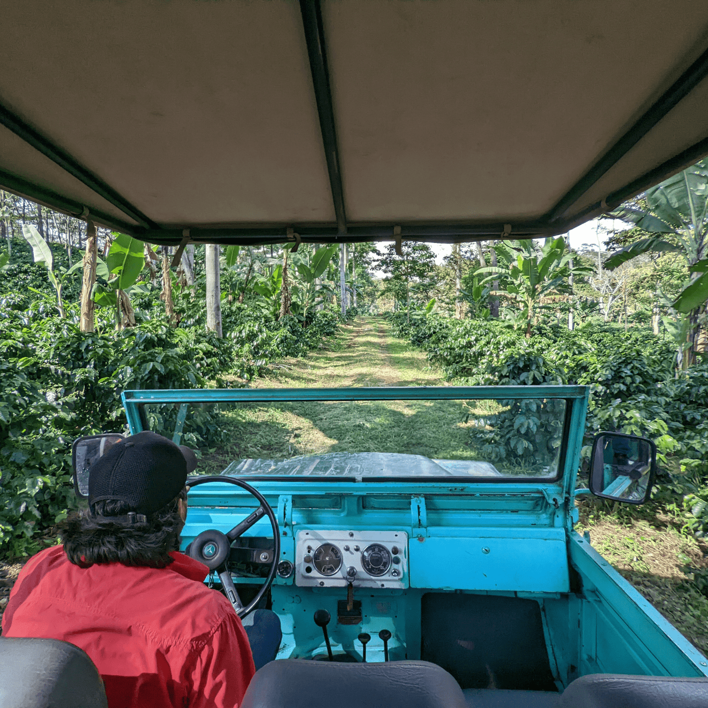 Coffee Origin Tour Colombia - 7 Days Specialty Coffee