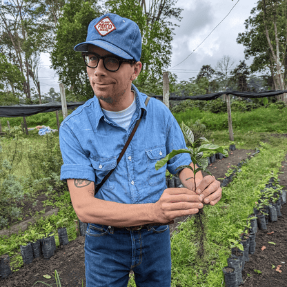 Coffee Origin Tour Colombia - 7 Days Specialty Coffee