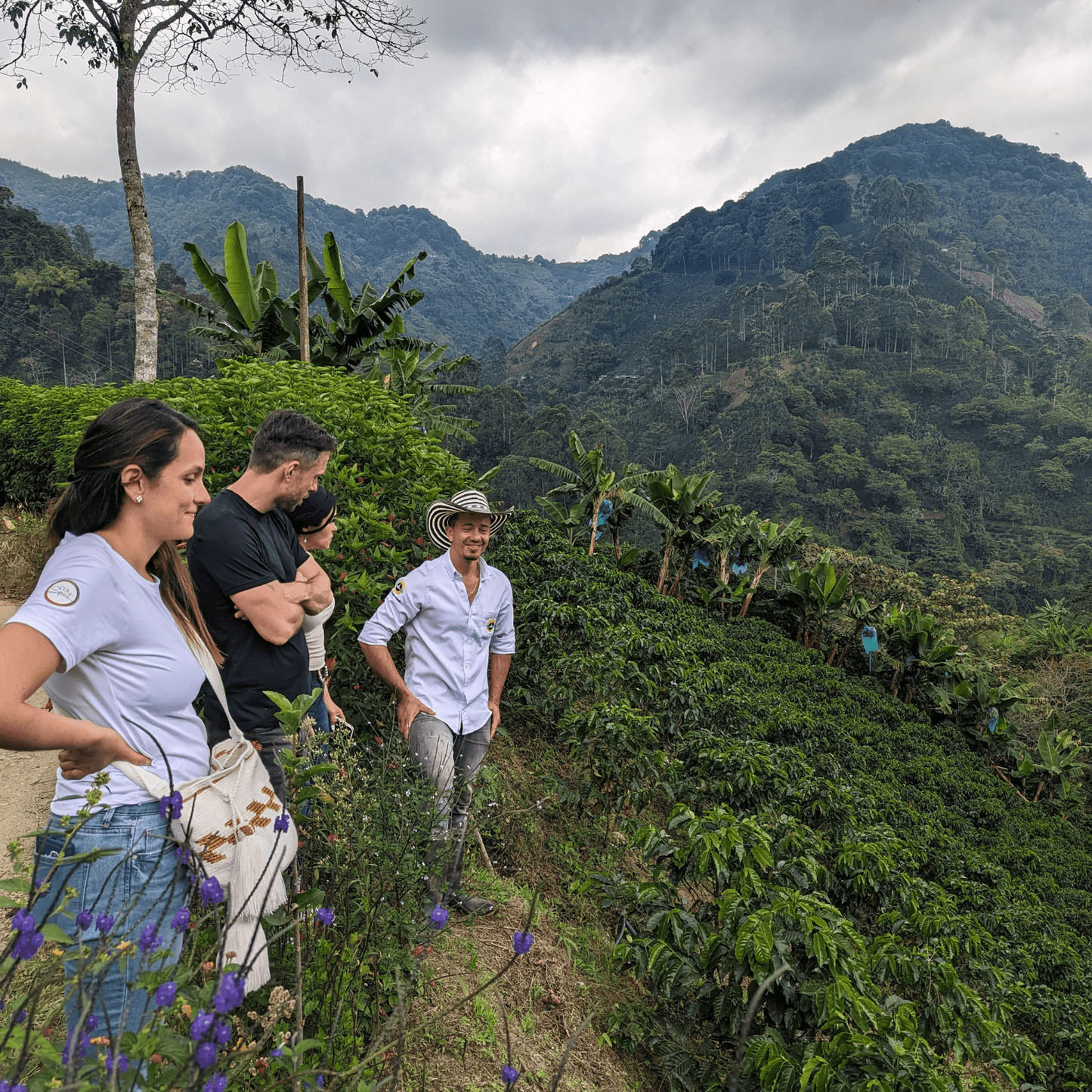 Coffee Origin Tour Colombia - 7 Days Specialty Coffee