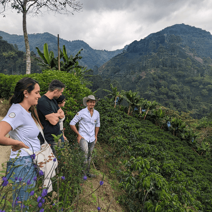 Coffee Origin Tour Colombia - 7 Days Specialty Coffee