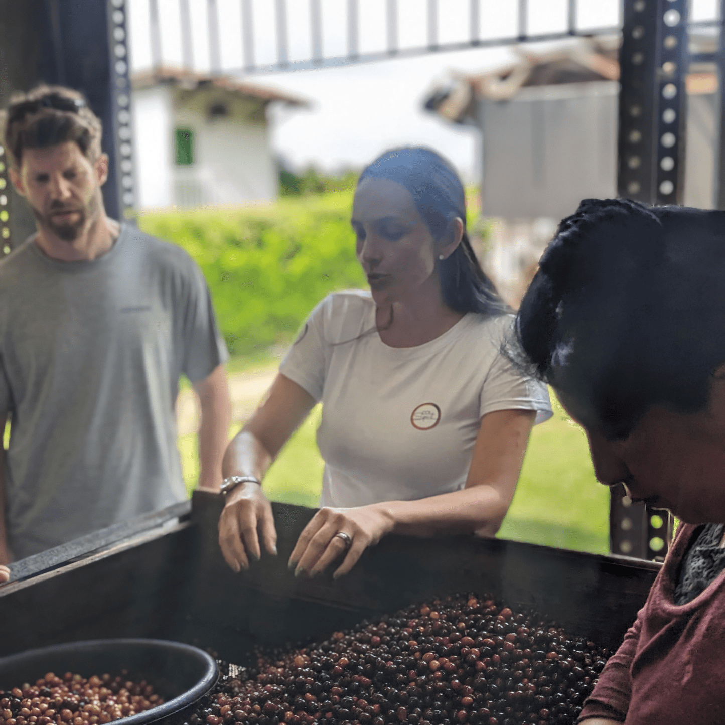 Coffee Origin Tour Colombia - 7 Days Specialty Coffee