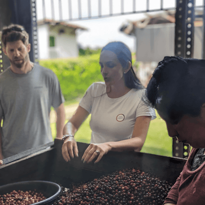 Coffee Origin Tour Colombia - 7 Days Specialty Coffee