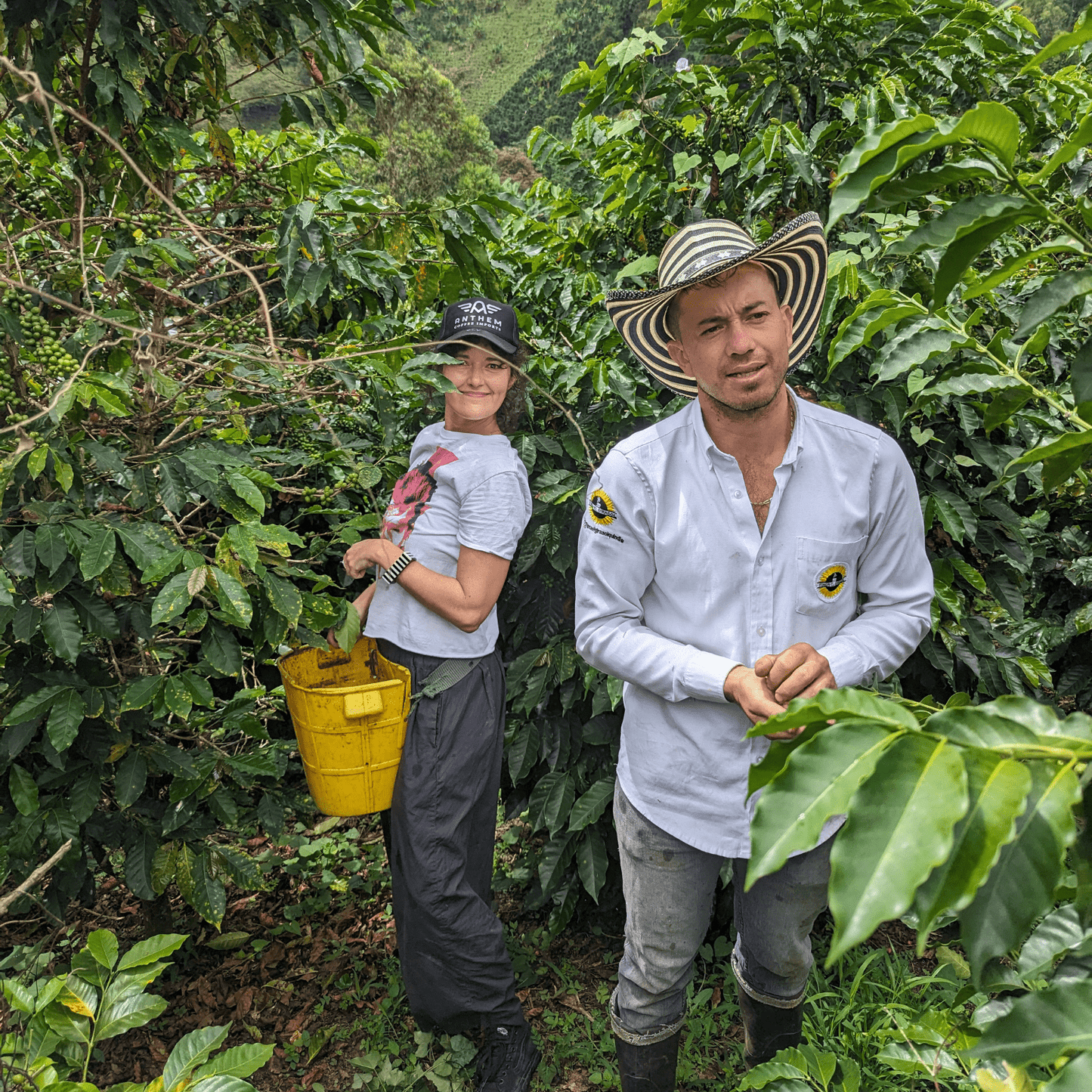 Coffee Origin Tour Colombia - 7 Days Specialty Coffee