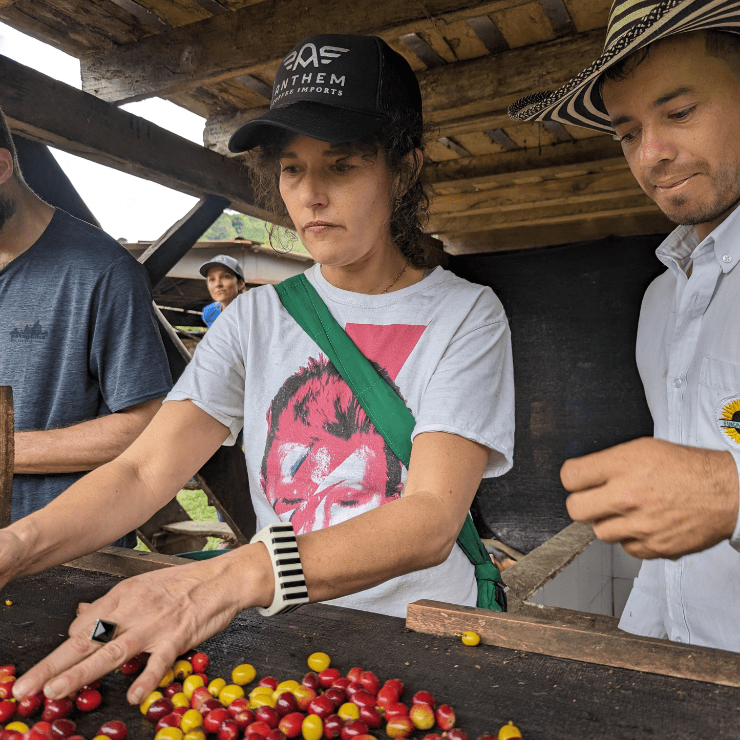 Coffee Origin Tour Colombia - 7 Days Specialty Coffee