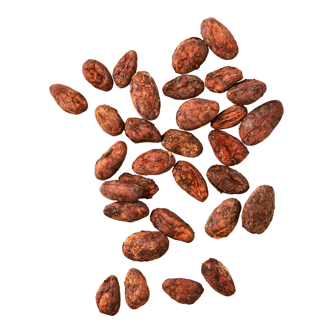 Olmekakao - Kakaobohnen - organisch produziert 1kg