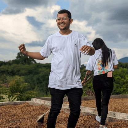 Coffee Origin Tour Colombia - 7 Days Specialty Coffee