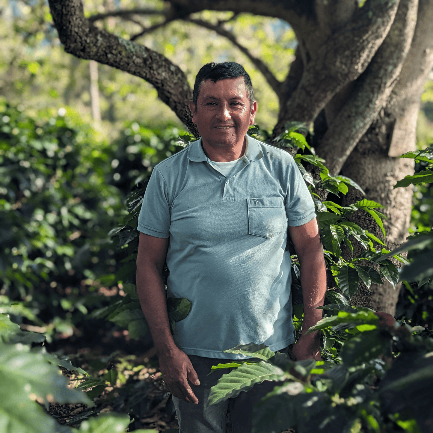 Coffee Origin Tour Colombia - 7 Days Specialty Coffee