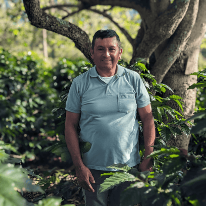 Coffee Origin Tour Colombia - 7 Days Specialty Coffee