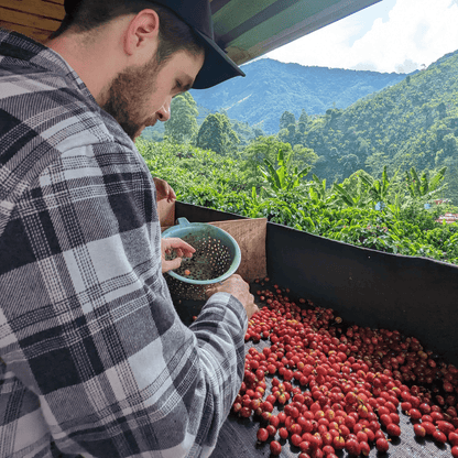 Coffee Origin Tour Colombia - 7 Days Specialty Coffee