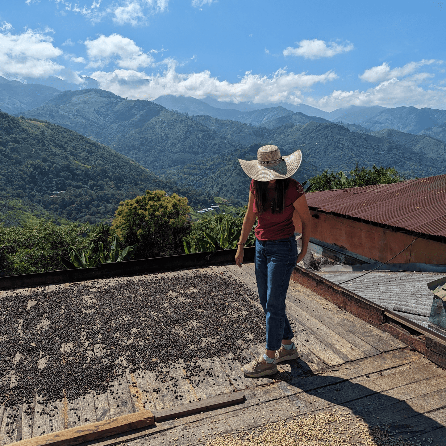 Coffee Origin Tour Colombia - 7 Days Specialty Coffee