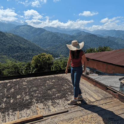 Coffee Origin Tour Colombia - 7 Days Specialty Coffee