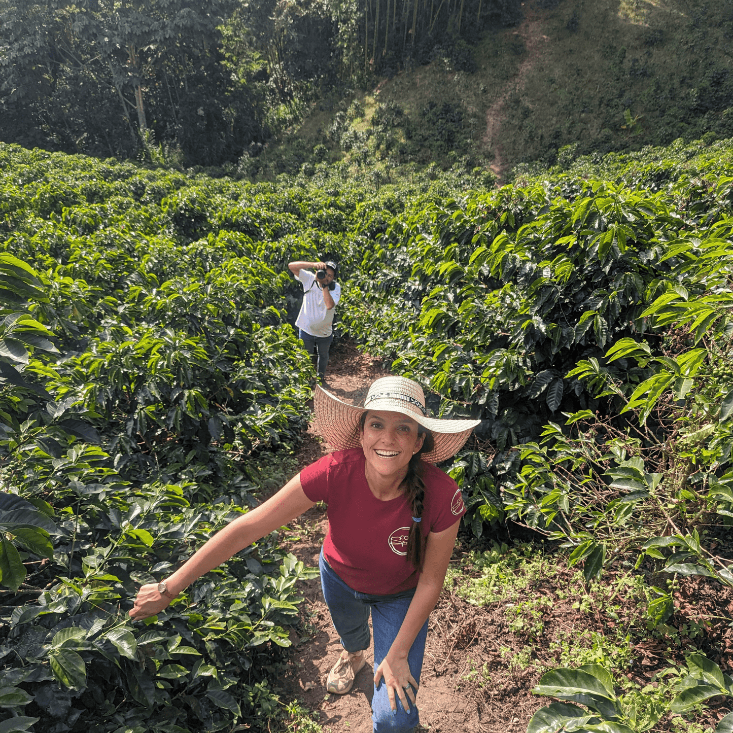 Coffee Origin Tour Colombia - 7 Days Specialty Coffee