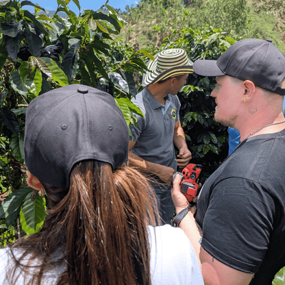 Coffee Origin Tour Colombia - 7 Days Specialty Coffee